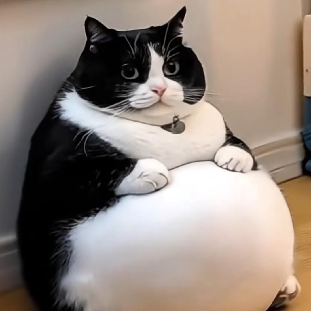 钓鱼治百病🤪不信你试试😀