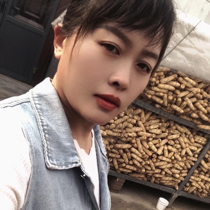 燕子（季）