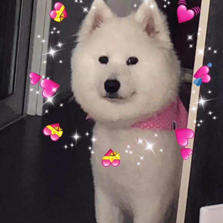 闰土的麻麻