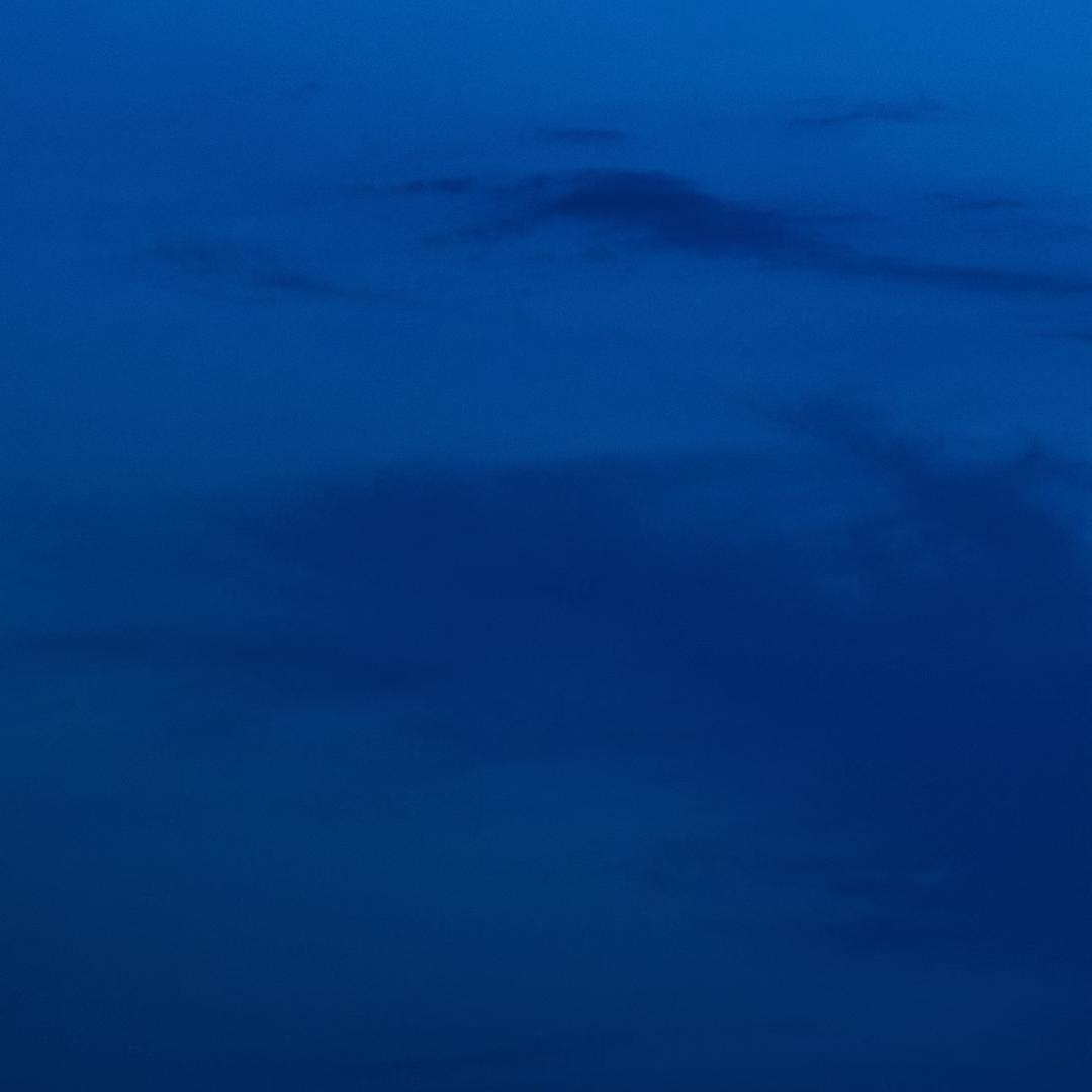 昨夜风兼雨