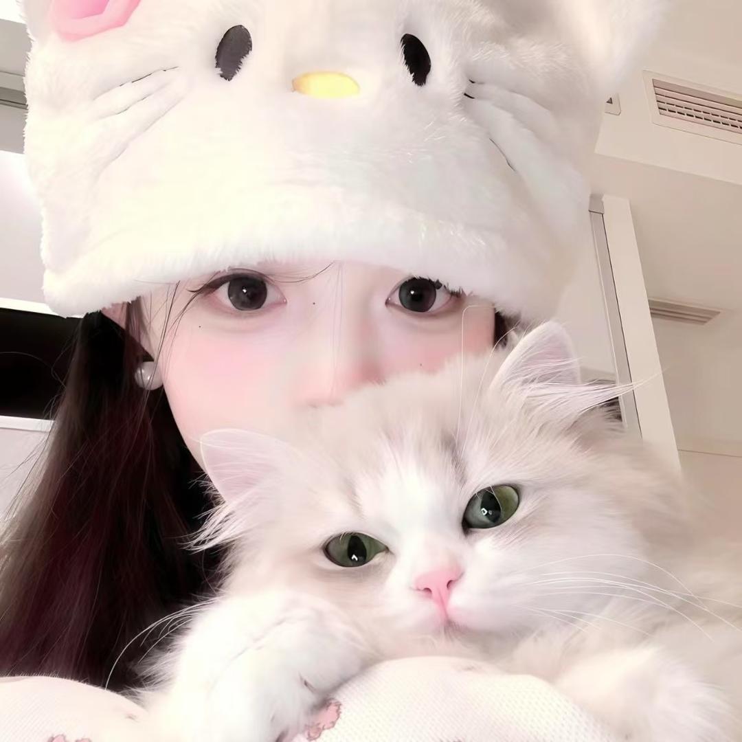 养只猫叫蛋卷