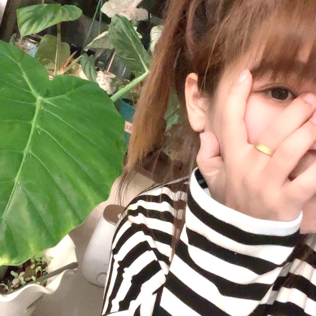 暗黑小碗纸
