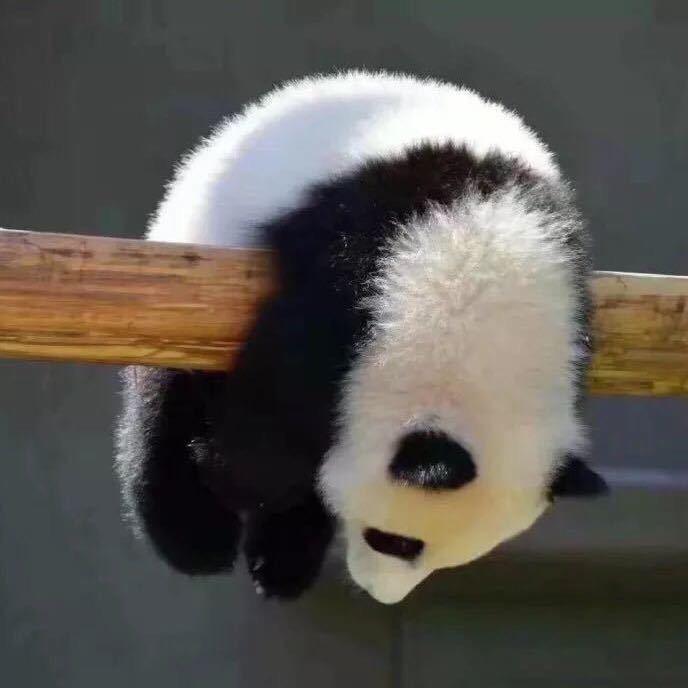 北乾艺术油画收藏直播间