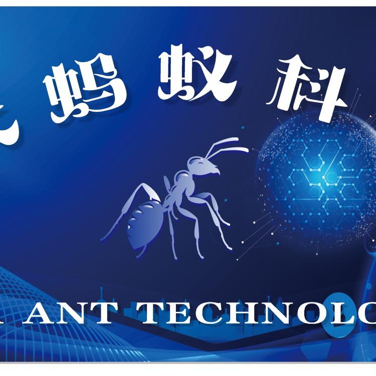 大蚂蚁科技