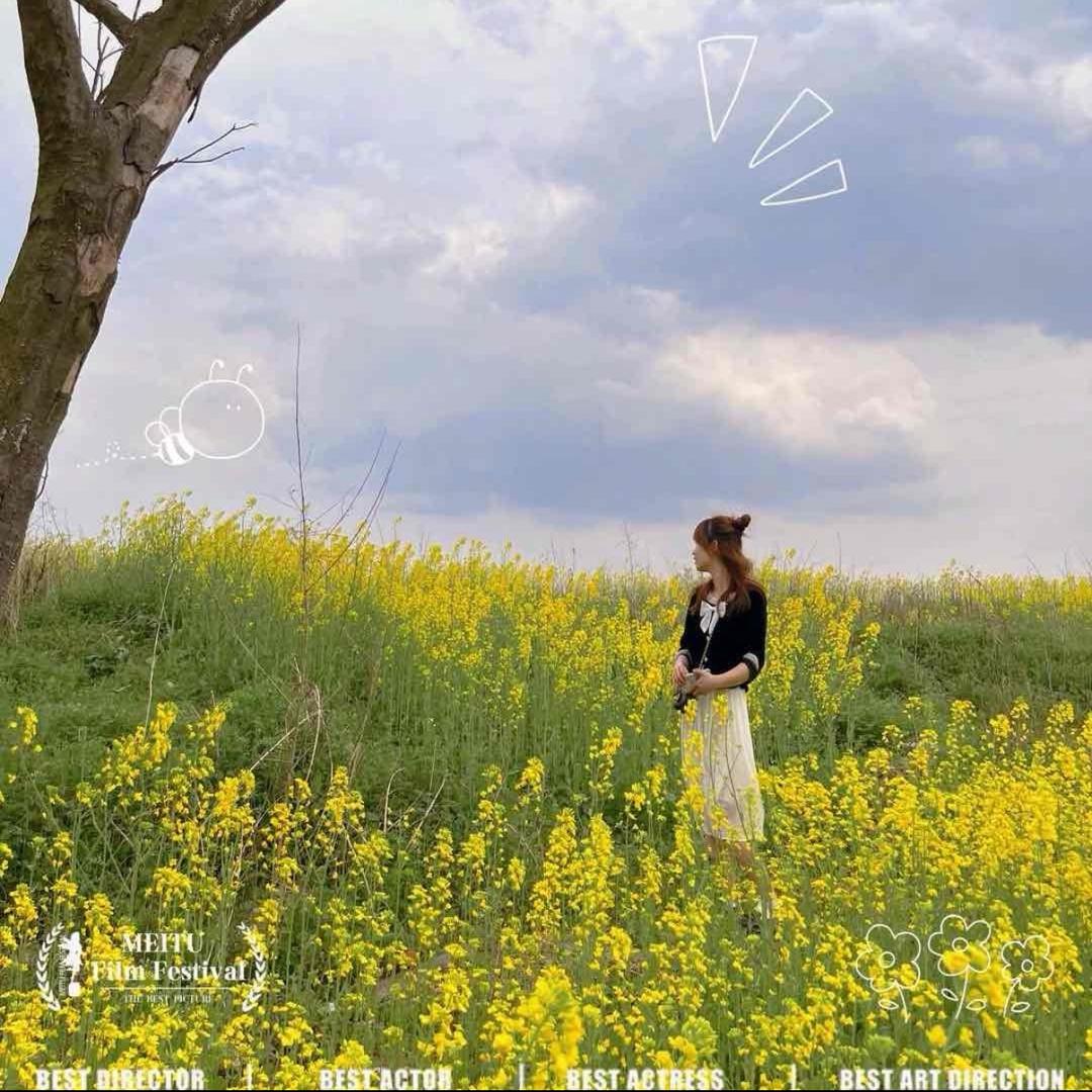 小羅姐姐在努力🌸