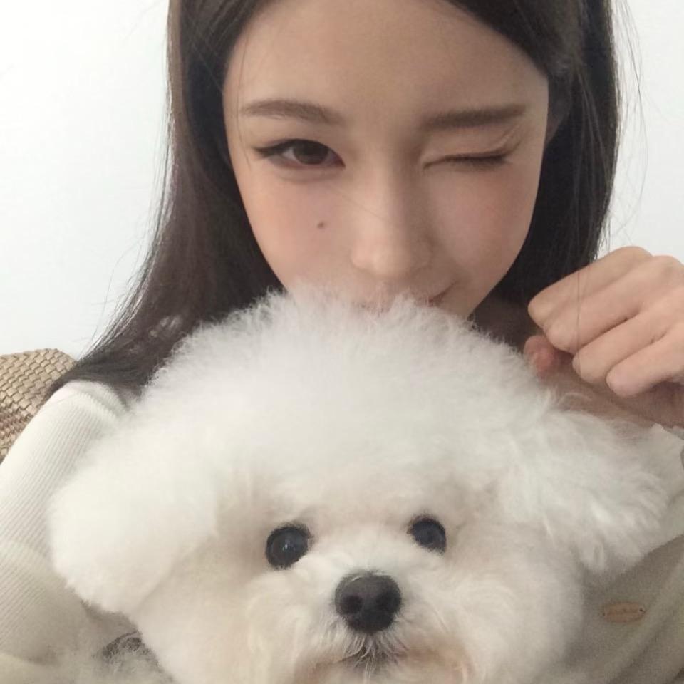啊噗呲咔