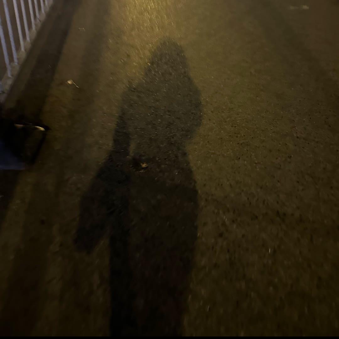 我在邵阳卖鲍鱼