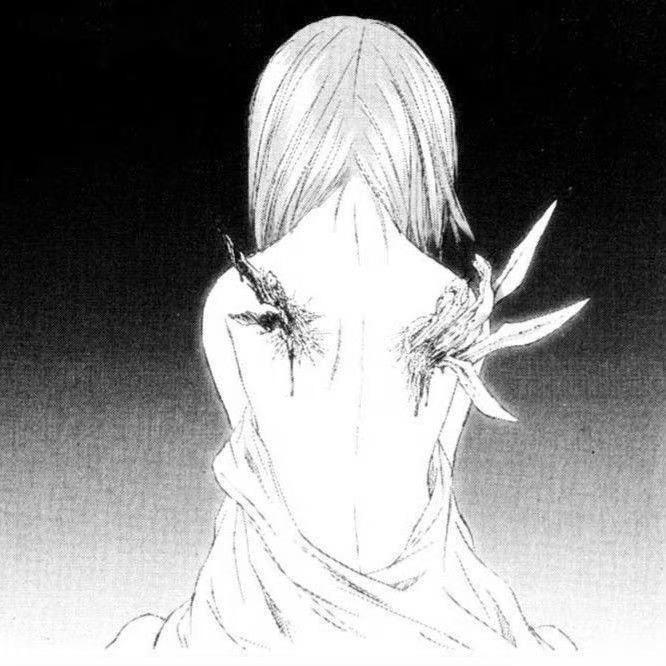 颖颖龙