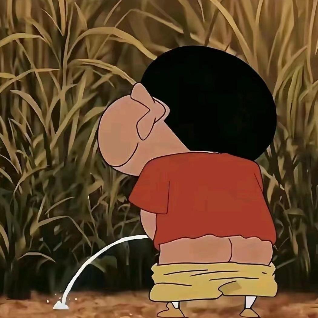 皮卡丘🦆