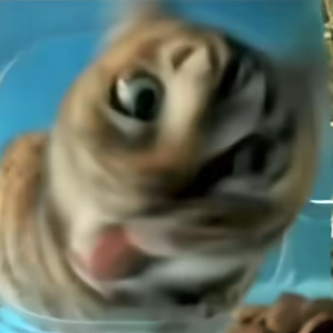 蒸汽鱼