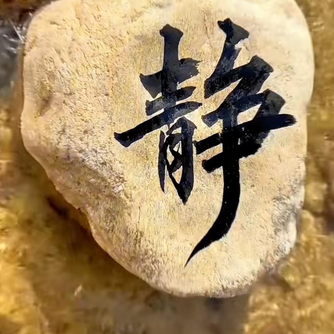 擎天战尊