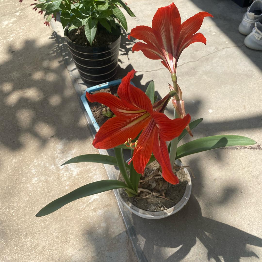 #（&）初心（拒私聊）