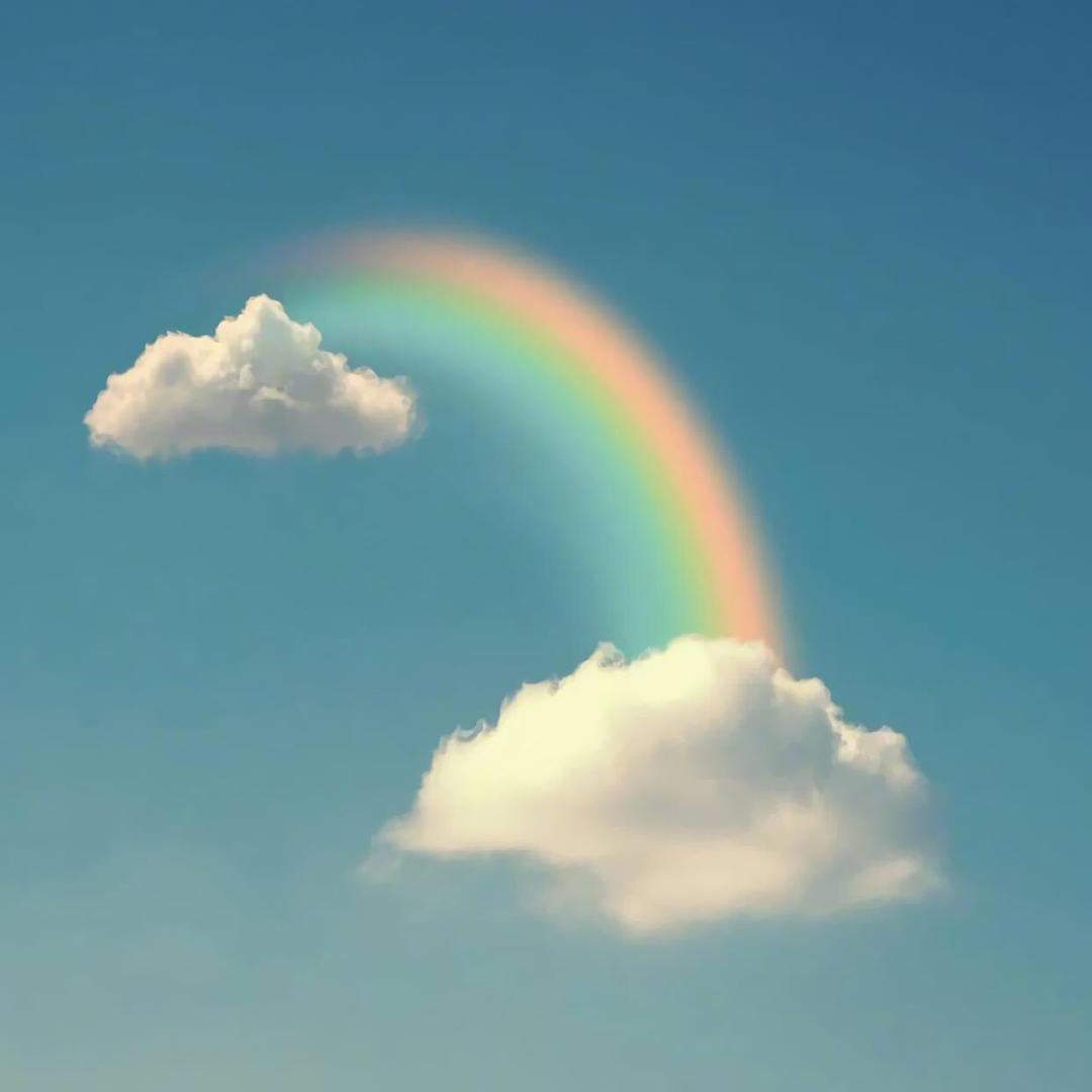 飞向高空