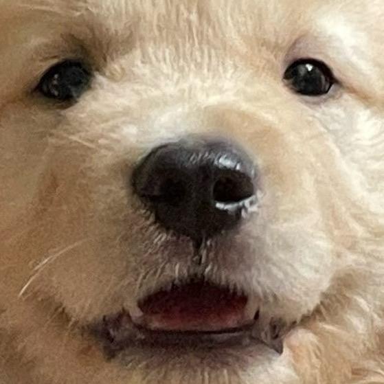 六一的冤种姐姐