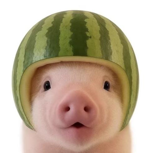 这个世界没了wwy还能转？