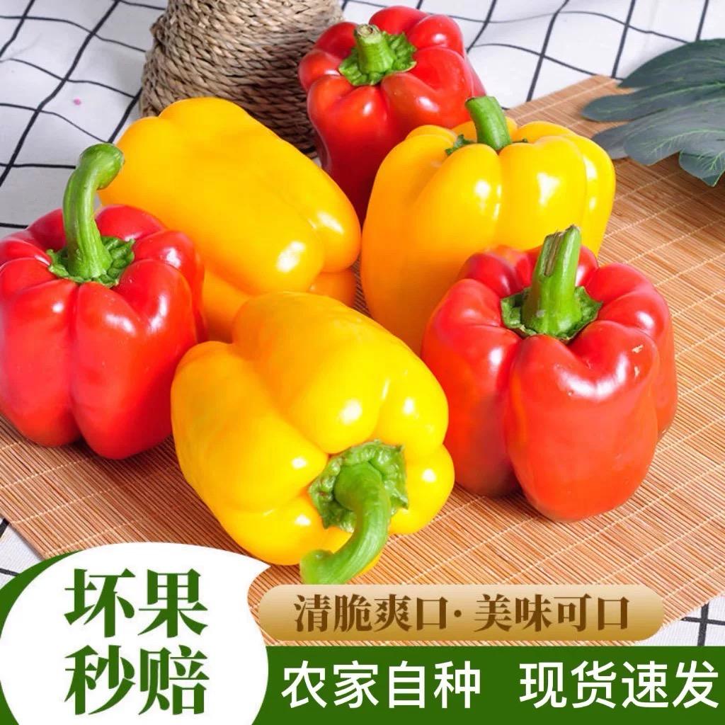 四季鲜蔬汇