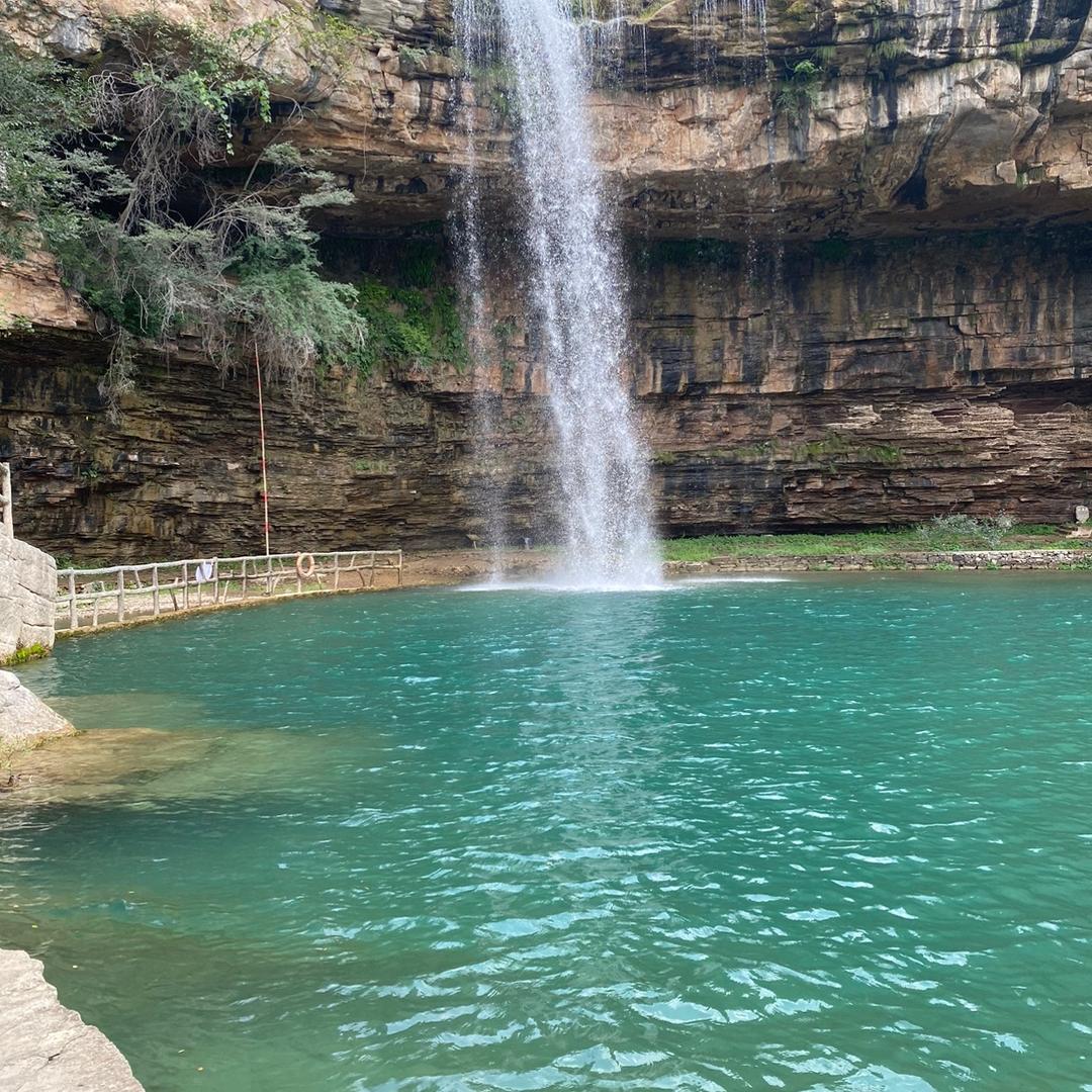 问题性皮肤管理