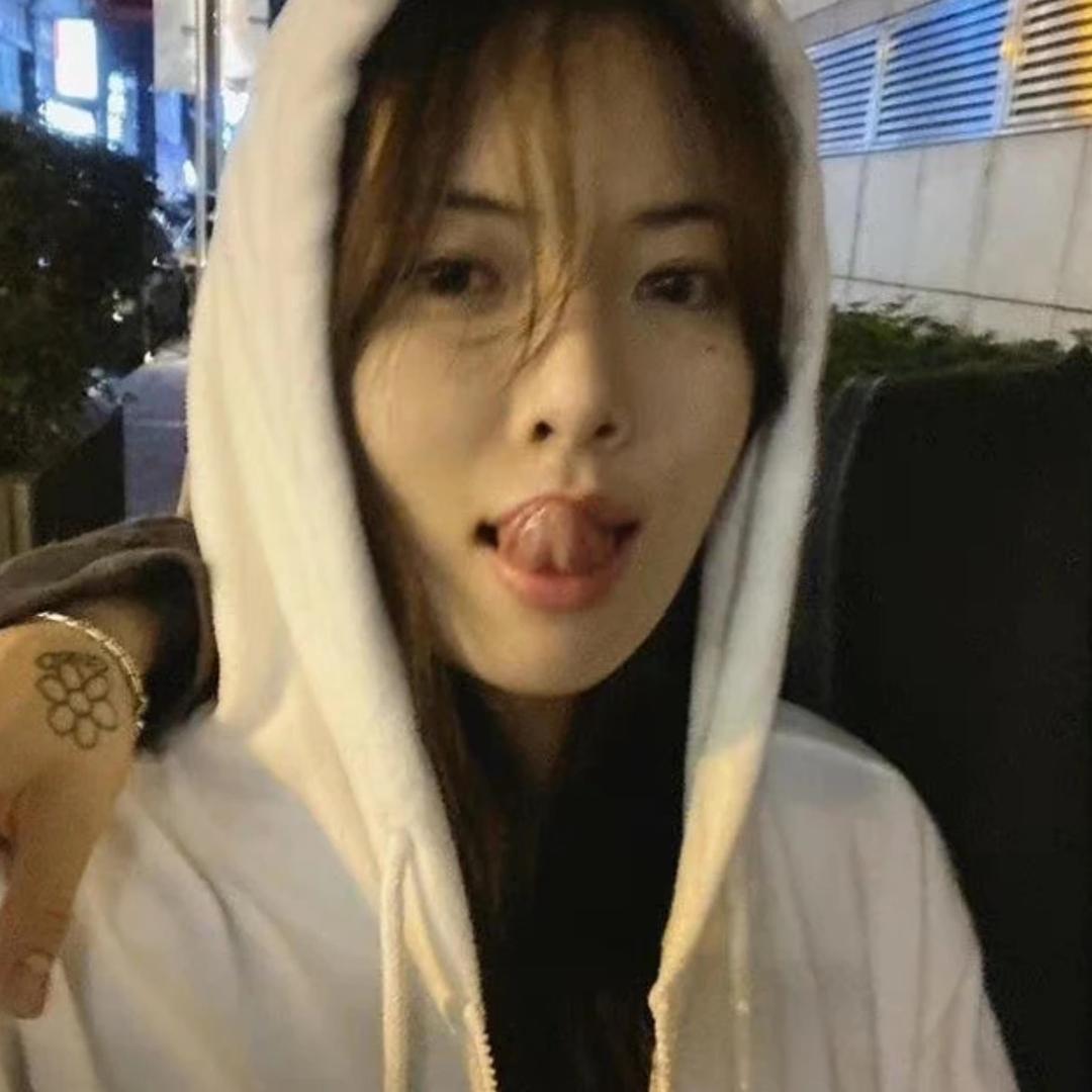 一树梨蘤压海棠