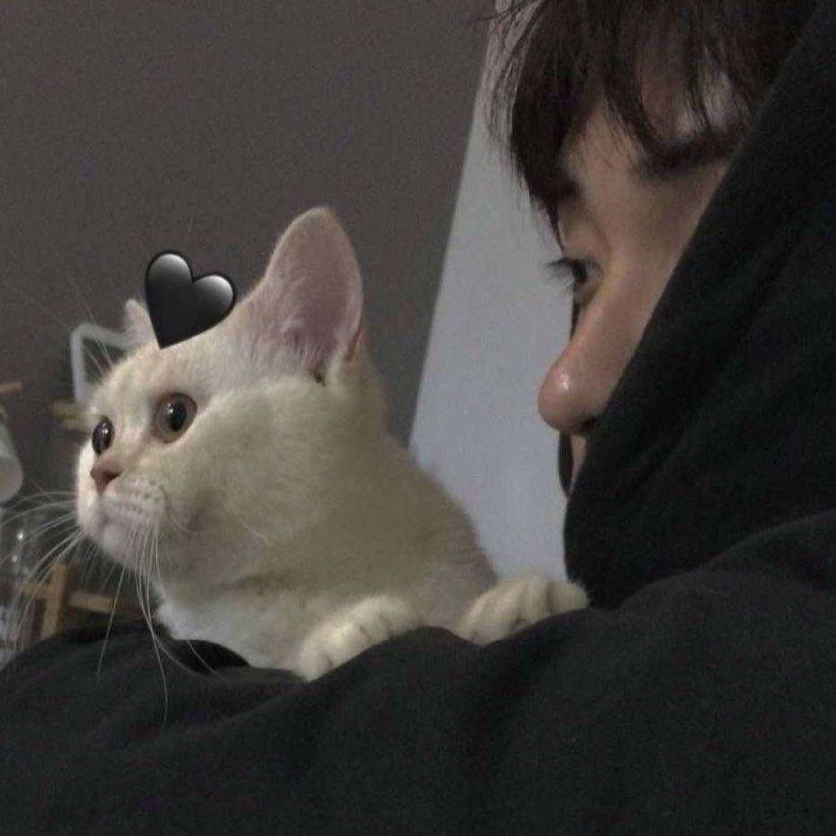 矮泥