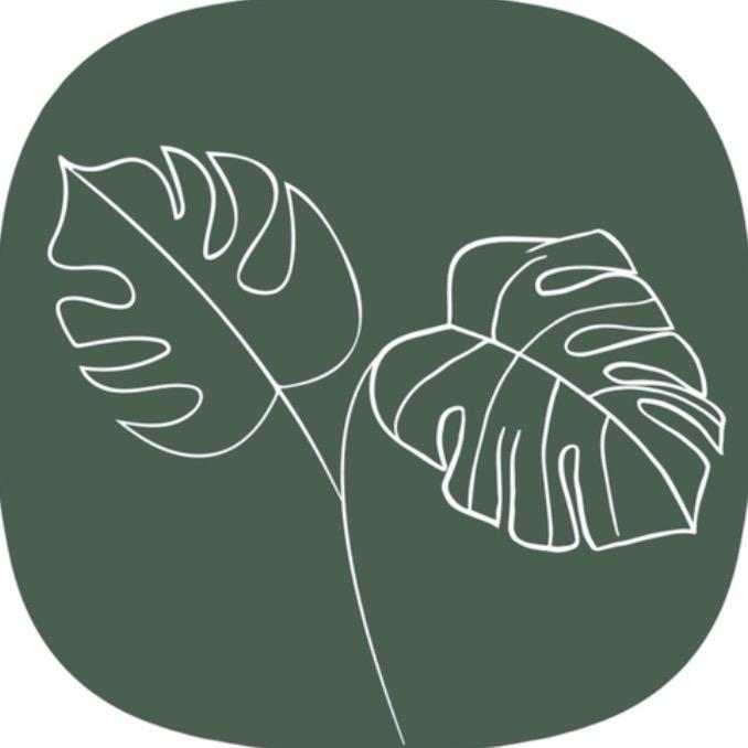 绿植尖植物优选