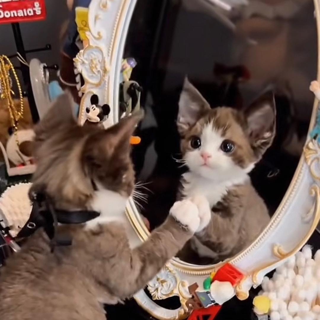 滴滴哒滴咔𝒯𝓎𝒸𝒽ℯ