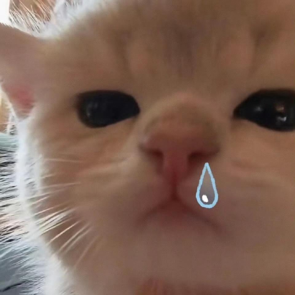 哦哟咦哟咦呦