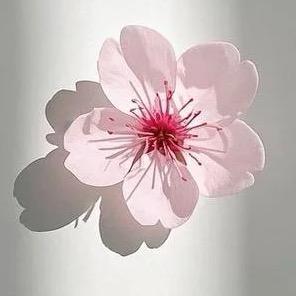 陈某某。