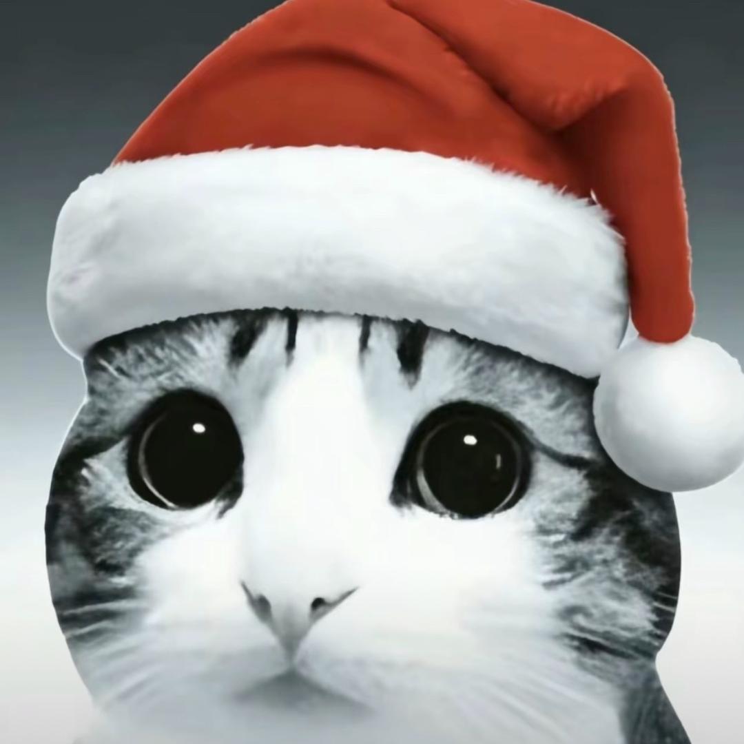 老实的农村苞米