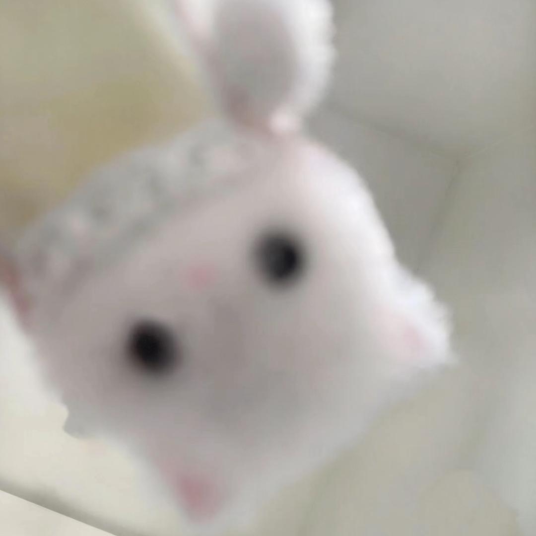 你让让我怎么了