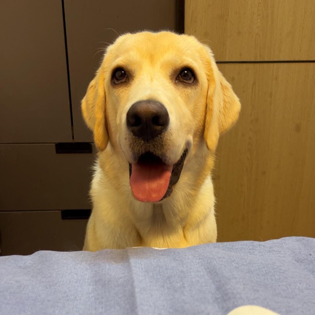 无产阶级革命者