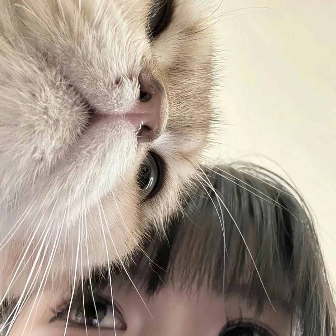 苹果嘉儿^