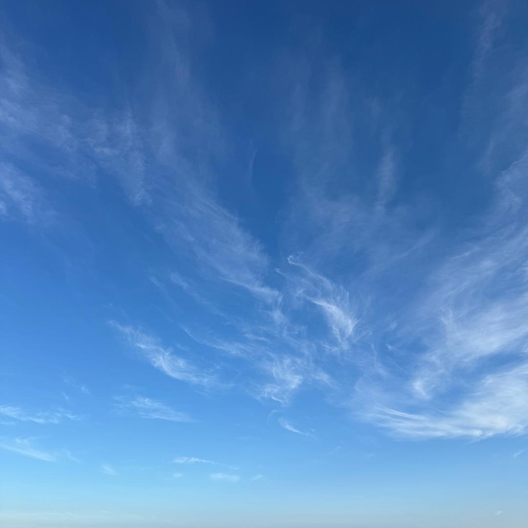 我不是二师兄