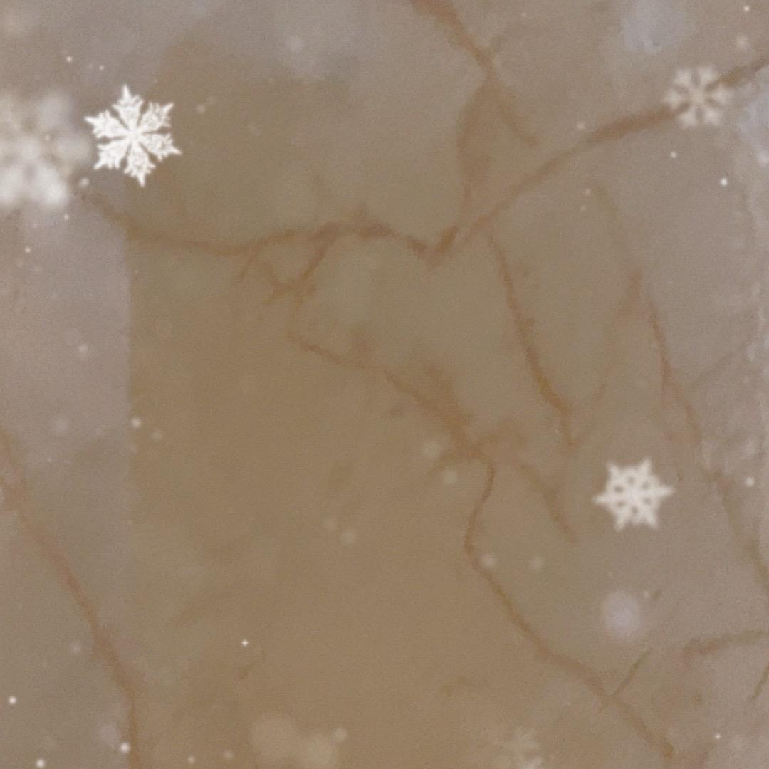 高高兴兴11