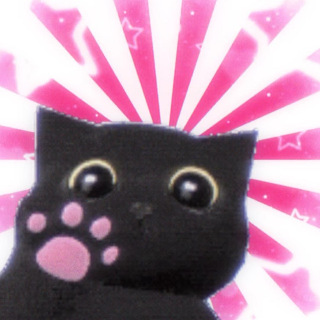 小猫老弟.