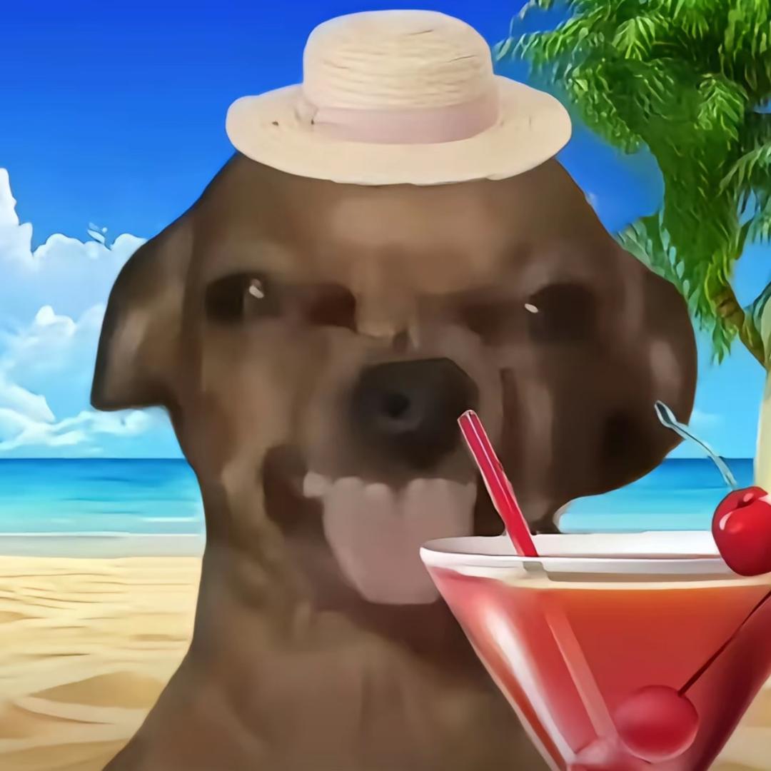 爬在后院嗦鸡屎