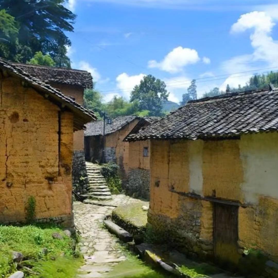 爱睡觉的招财猫(私信封了)