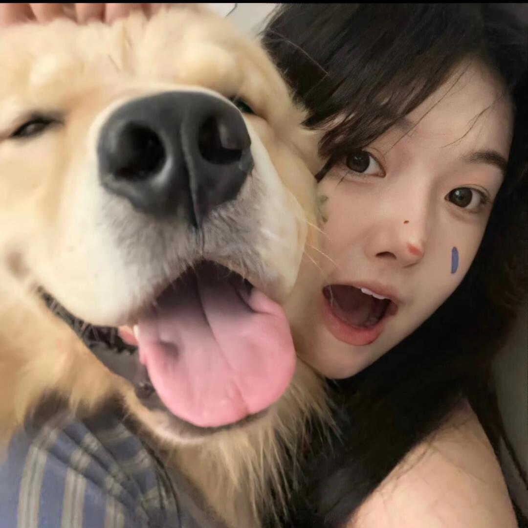 艺菲