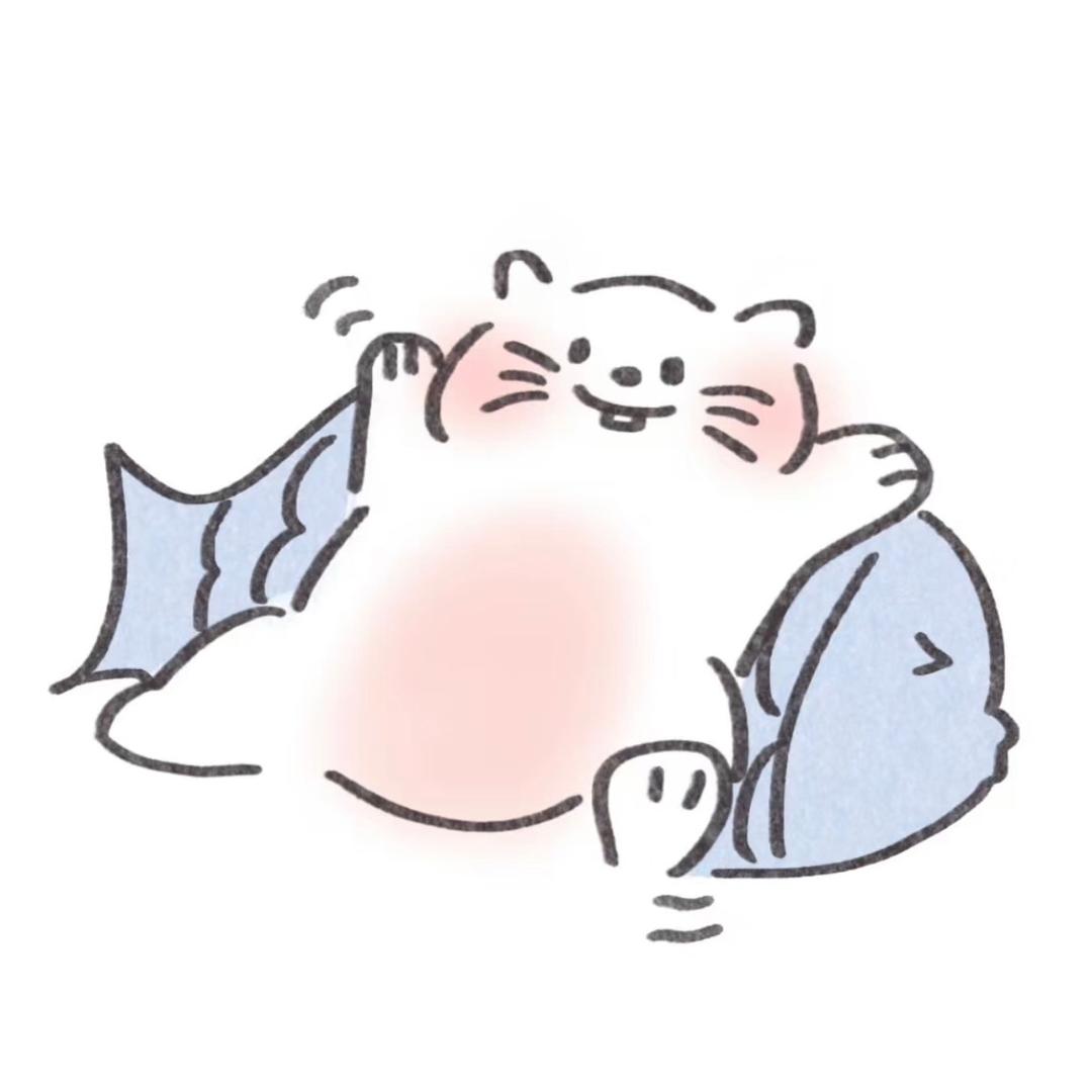 🌈是小飞吖