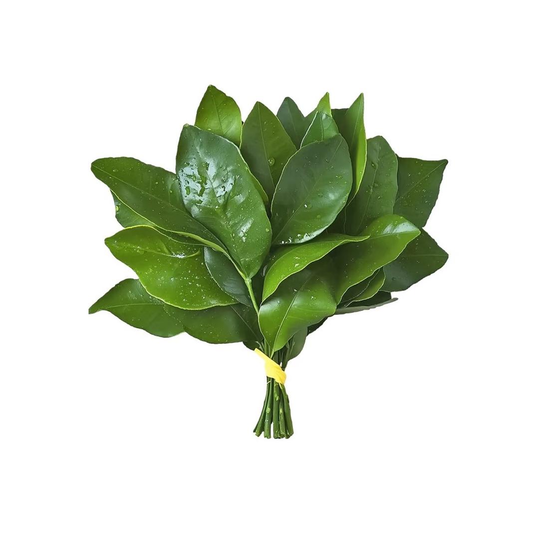 徐沐禾