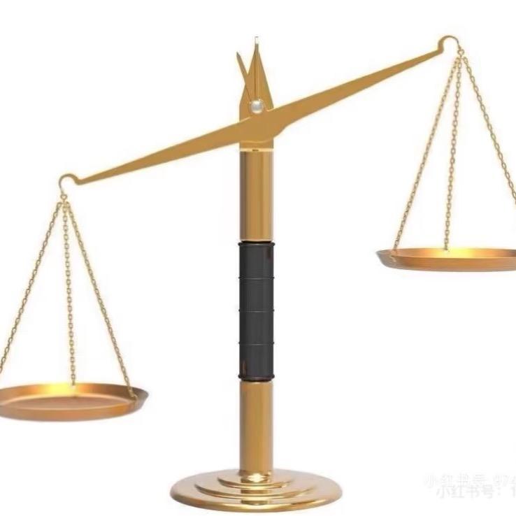 正义之举