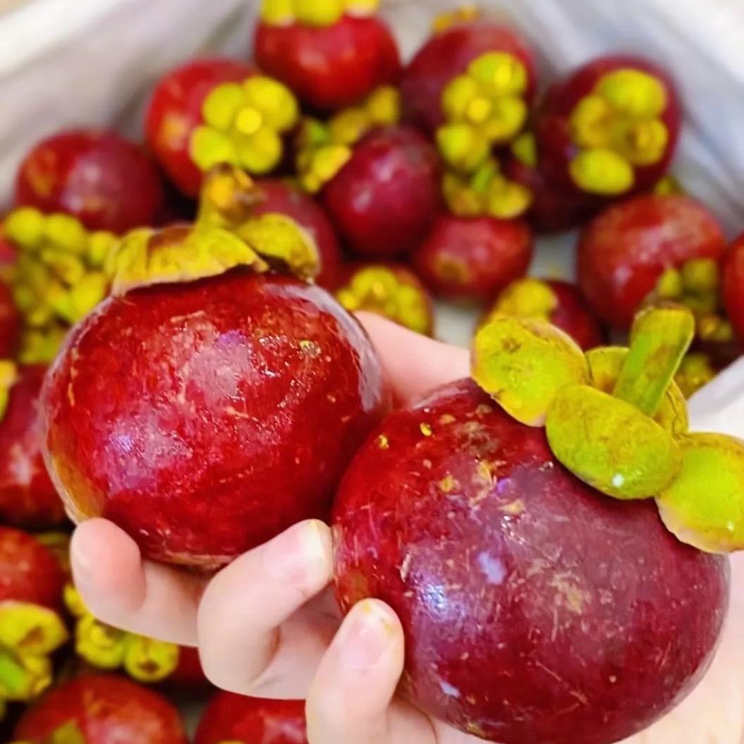 土曾水电五金店花节 琪琪-宠粉号