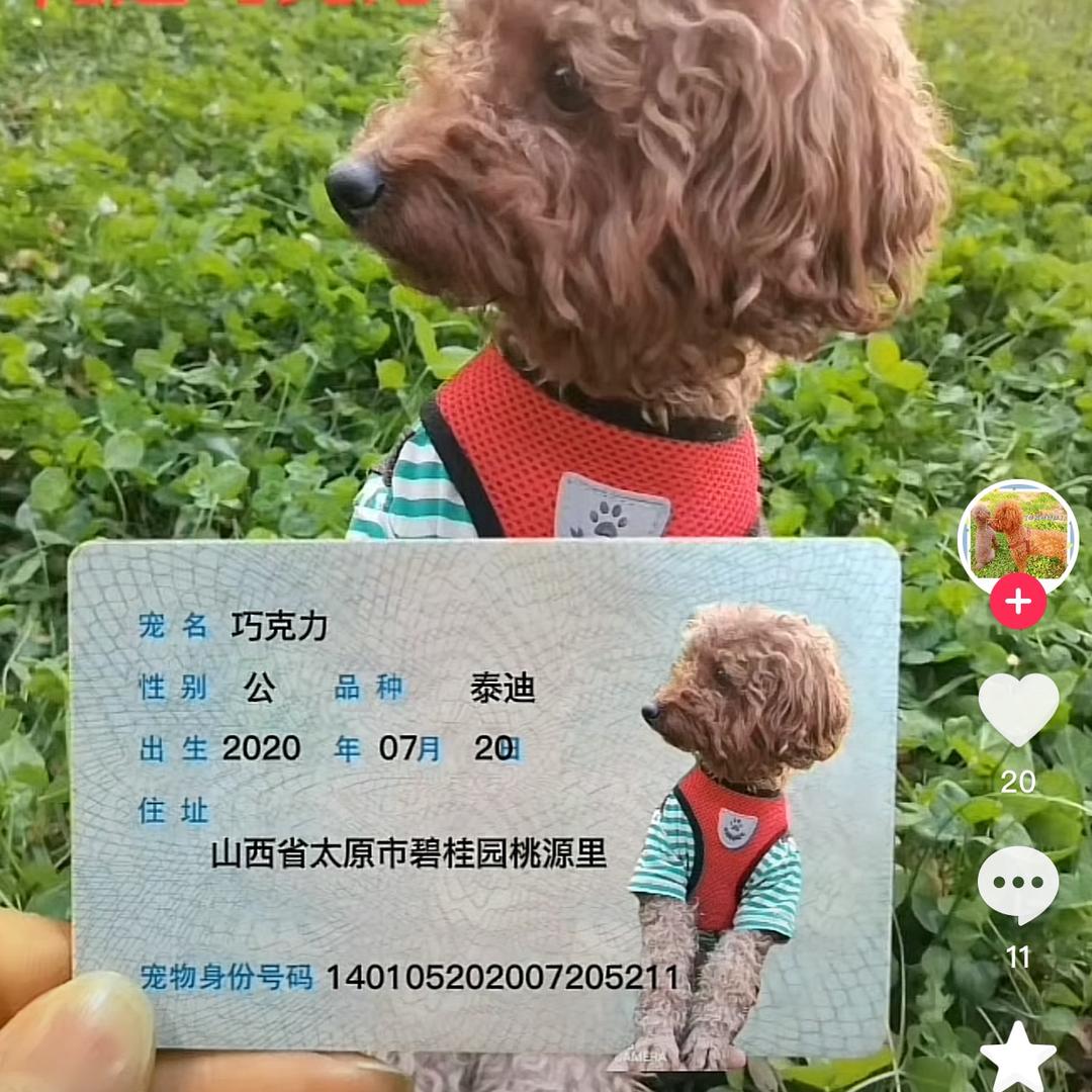 小添添
