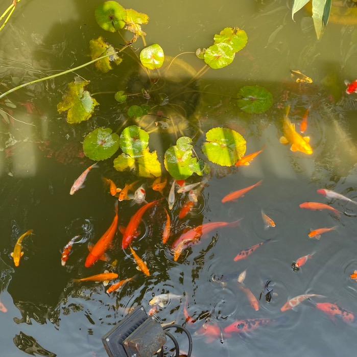 婷姿服装库存尾货