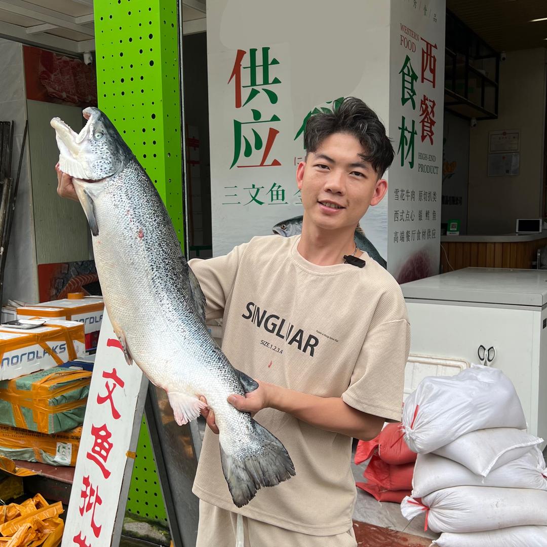 阿伟三文鱼批发