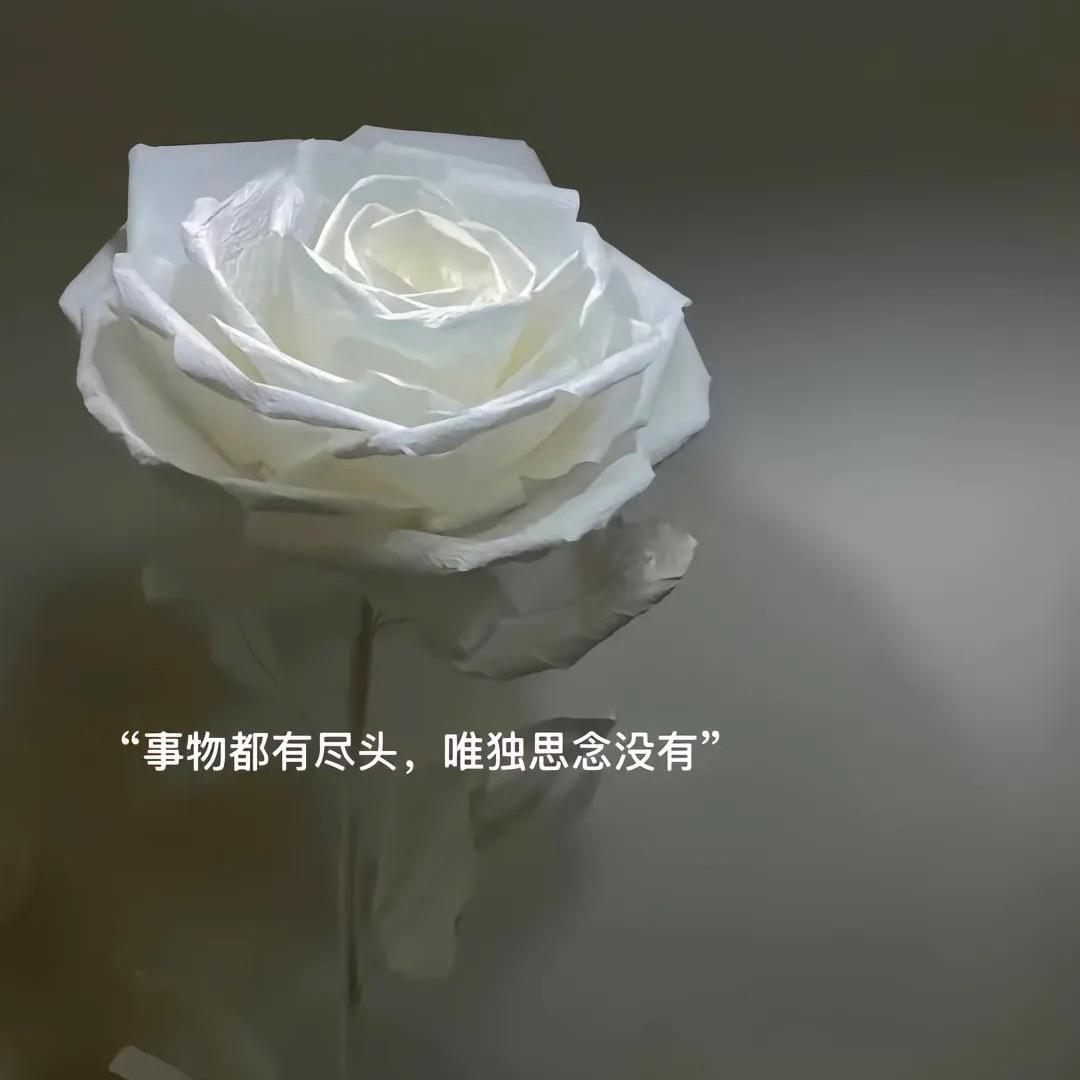 云里雾里啊
