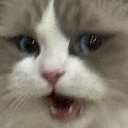 章鱼丸丸子（见过王俊凯版）