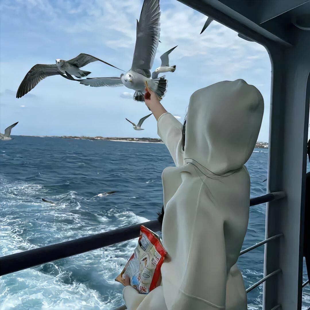 工体姨姨（北京局头）