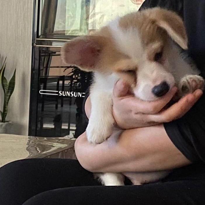 。。。🐟🐟🐟