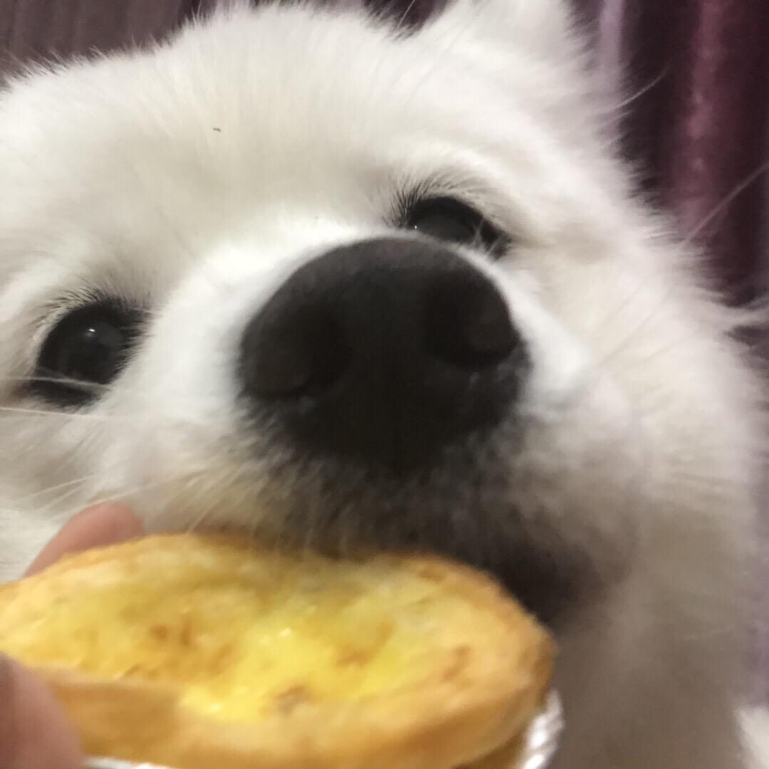 神明宠爱的宝贝