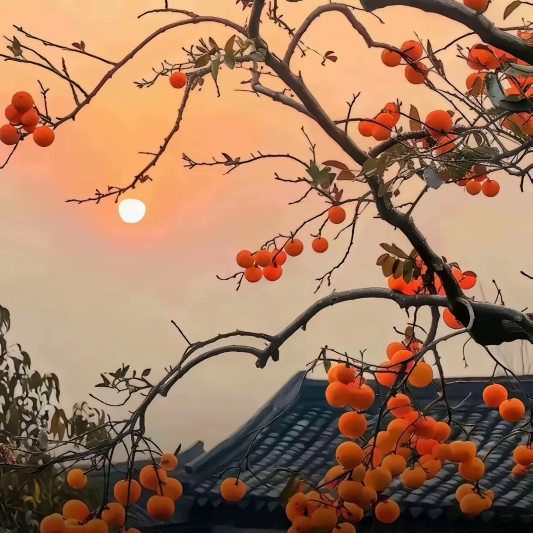 嘦姕